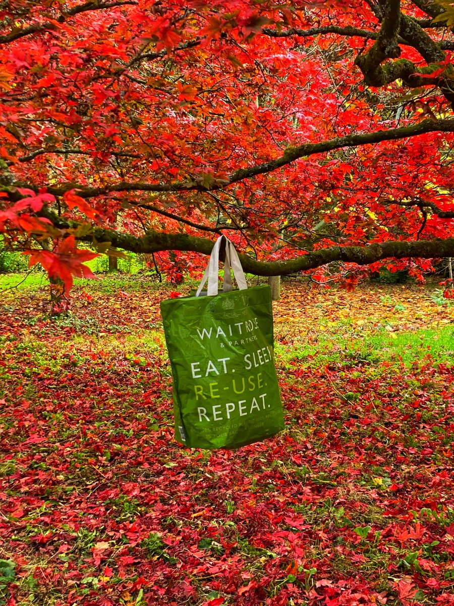 💗🌟🌺PammyR 🌺🌟💗 tweet media