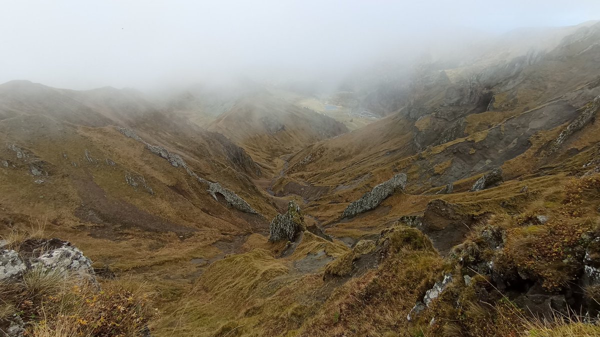 Arnaud Rodriguez tweet media