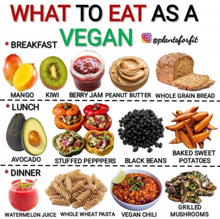 veganfuture's tweet photo. https://t.co/cag86dzeXa