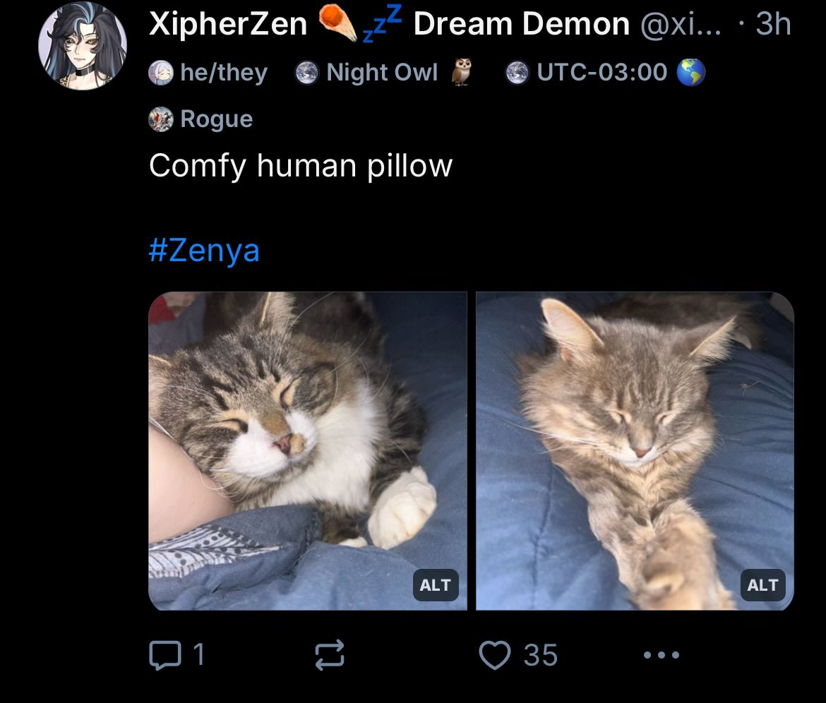 I’ve never had a CAT picture do so well, let alone within only THREE HOURS JESUS