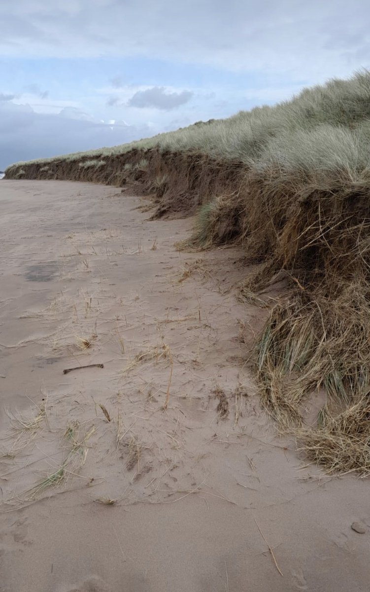 Isle of Rùm tweet media