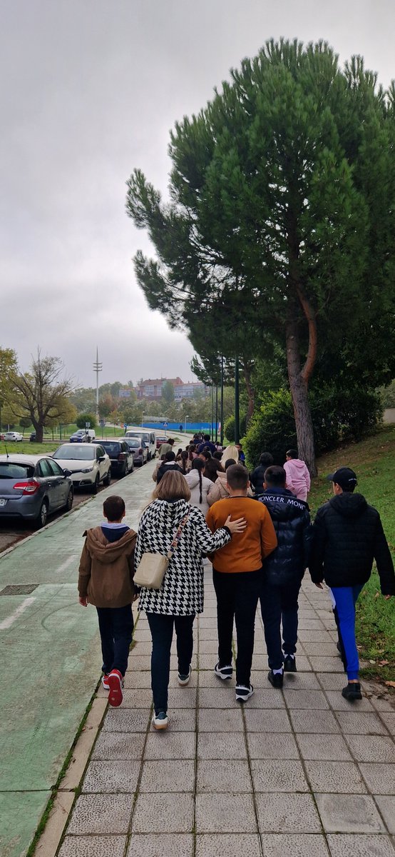 Participando en las actividades escolares con motivo de la Semana Internacional de Cine de nuestra ciudad 
<a href="/SEMINCI/">SEMINCI | Festival de Cine</a> 
<a href="/educacyl/">Educación JCyL</a>