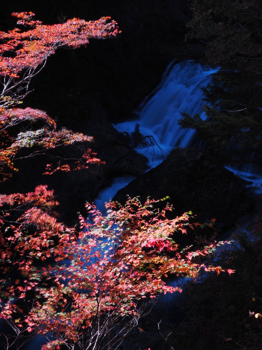 hidepon3939's tweet photo. 2024.10.21(月)奥志賀(長野県)
雑魚川の遊歩道沿いは、三段の滝の周辺、ハーモニカの滝の周辺、そのまた上流のいずれも紅葉がキレイでした https://t.co/RenOKp8re9