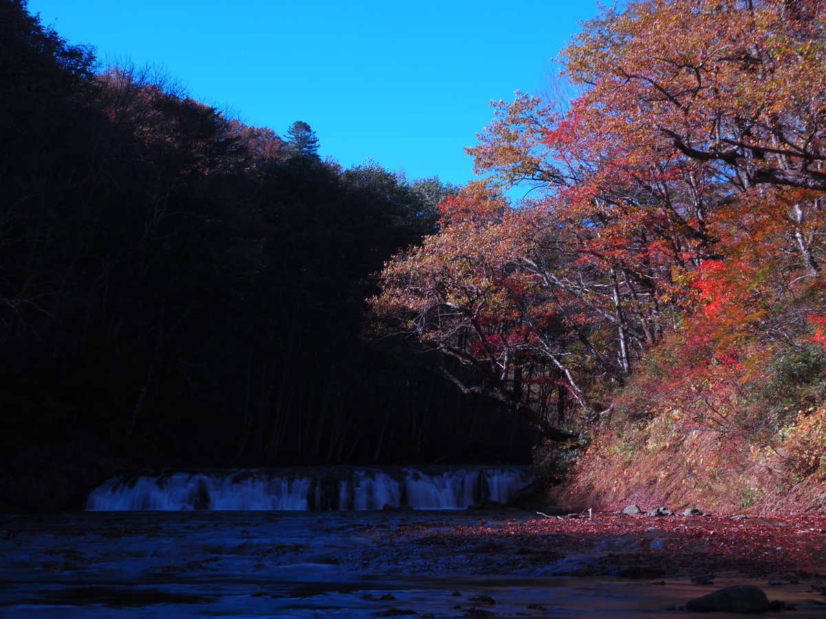 hidepon3939's tweet photo. 2024.10.21(月)奥志賀(長野県)
雑魚川の遊歩道沿いは、三段の滝の周辺、ハーモニカの滝の周辺、そのまた上流のいずれも紅葉がキレイでした https://t.co/RenOKp8re9