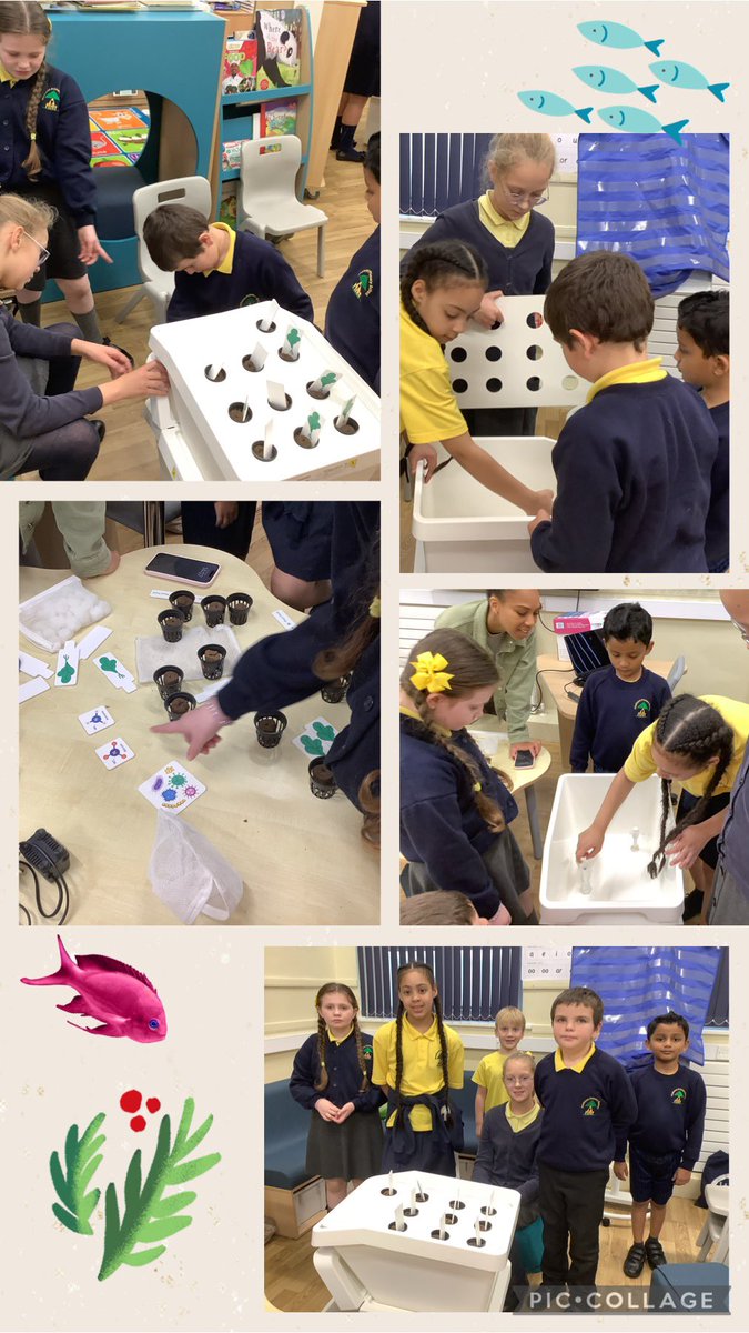1MrsHenderson's tweet photo. Our Eco warriors enjoyed having @FarmUrbanUK with us on Friday to go over our new aquaponic pod that we’re going to set up after half term. We are looking forward to showing our school how it works and growing fresh vegetables inside. @PinehurstP https://t.co/2qE3r23LCF