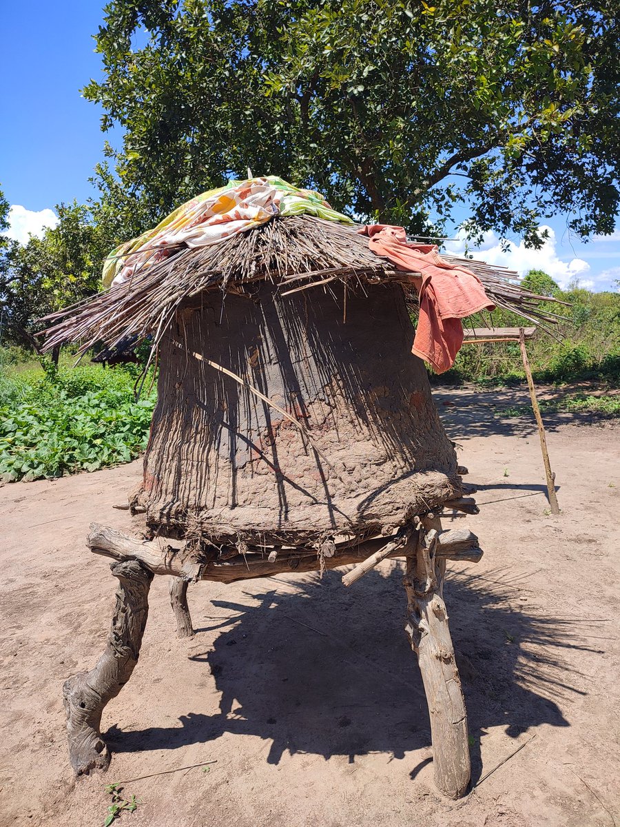 African local food store