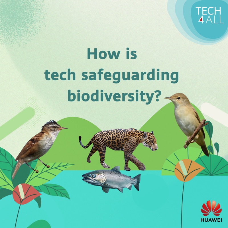 HUAWEI_TECH4ALL's tweet photo. As #COP16 kicks off, let’s dive into how #TECH4ALL is safeguarding biodiversity through technology!

From leveraging sound-recording technology with AI to utilizing algorithms, learn more about each TECH4ALL initiative!

Retweet to show your support. #Tech4Planet