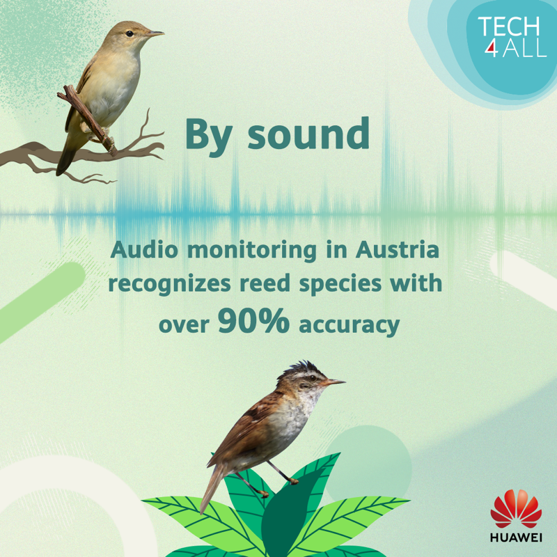 HUAWEI_TECH4ALL's tweet photo. As #COP16 kicks off, let’s dive into how #TECH4ALL is safeguarding biodiversity through technology!

From leveraging sound-recording technology with AI to utilizing algorithms, learn more about each TECH4ALL initiative!

Retweet to show your support. #Tech4Planet