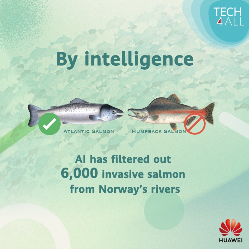 HUAWEI_TECH4ALL's tweet photo. As #COP16 kicks off, let’s dive into how #TECH4ALL is safeguarding biodiversity through technology!

From leveraging sound-recording technology with AI to utilizing algorithms, learn more about each TECH4ALL initiative!

Retweet to show your support. #Tech4Planet