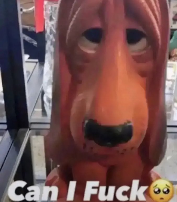 ❝ 𝙇𝙄𝙁𝙀 𝙊𝙁 𝙏𝙃𝙀 𝙋𝘼𝙍𝙏𝙔 ❞ (@hologram_honcho) on Twitter photo 