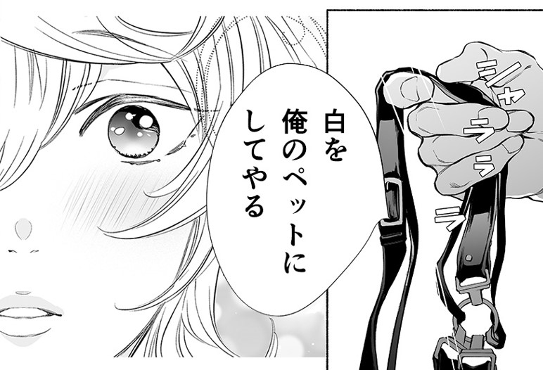 画像を出せないうちのえっちベルトの子🐶💖
#けものは奥まで愛されたい 