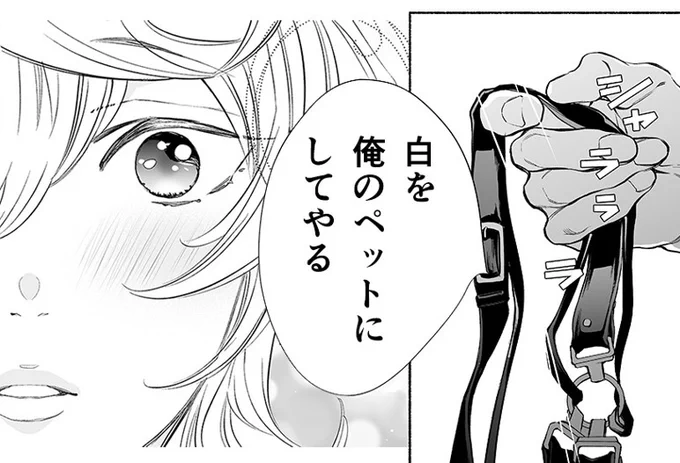 画像を出せないうちのえっちベルトの子🐶💖
#けものは奥まで愛されたい 