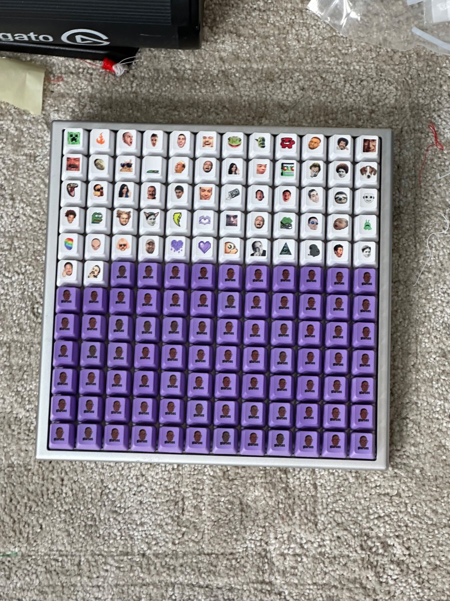 What have I done