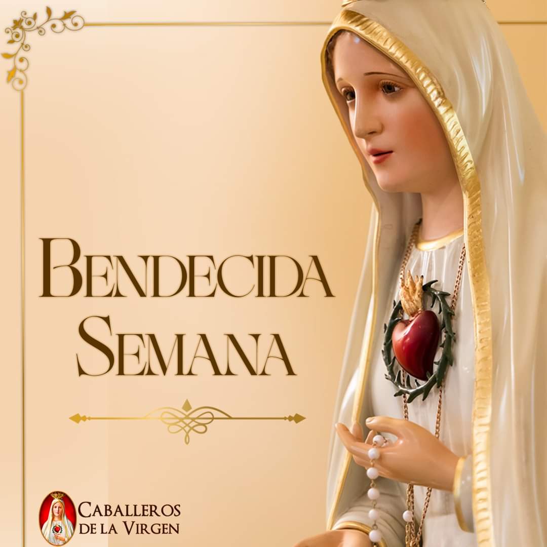 RuizHurtadoRE's tweet photo. Buenos Días!! Que la Santísima Virgen de Fátima #TeAcompañe y #LLene tu semana de paz, amor y bendiciones. https://t.co/7dGeoITs08