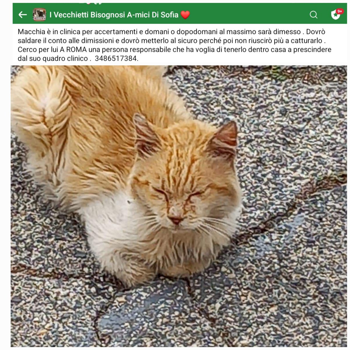 un atto d'amore odv tweet media