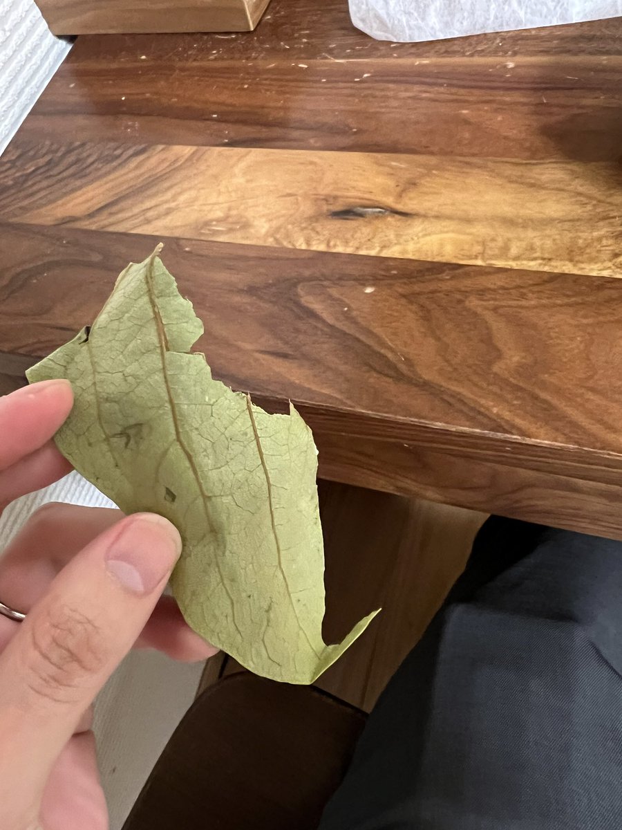 まぁ別に美味しかったけどね！！！