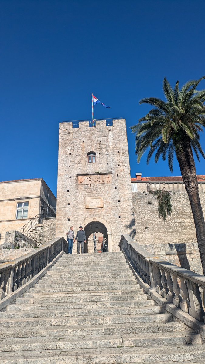 Lolita Medved tweet media