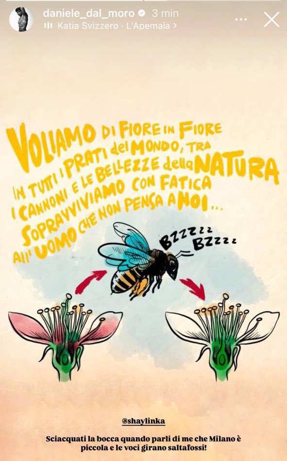 simonegent67713's tweet photo. ma questo cesso e le sue seguaci disadattate cosa vogliono, ma tornate nei tombini #grandefatello https://t.co/Z0C98IBBNA