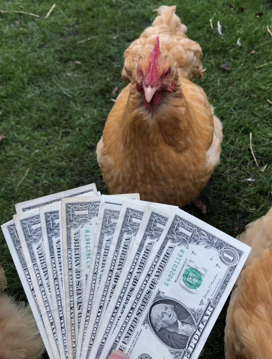 Miles 🐺 tweet media