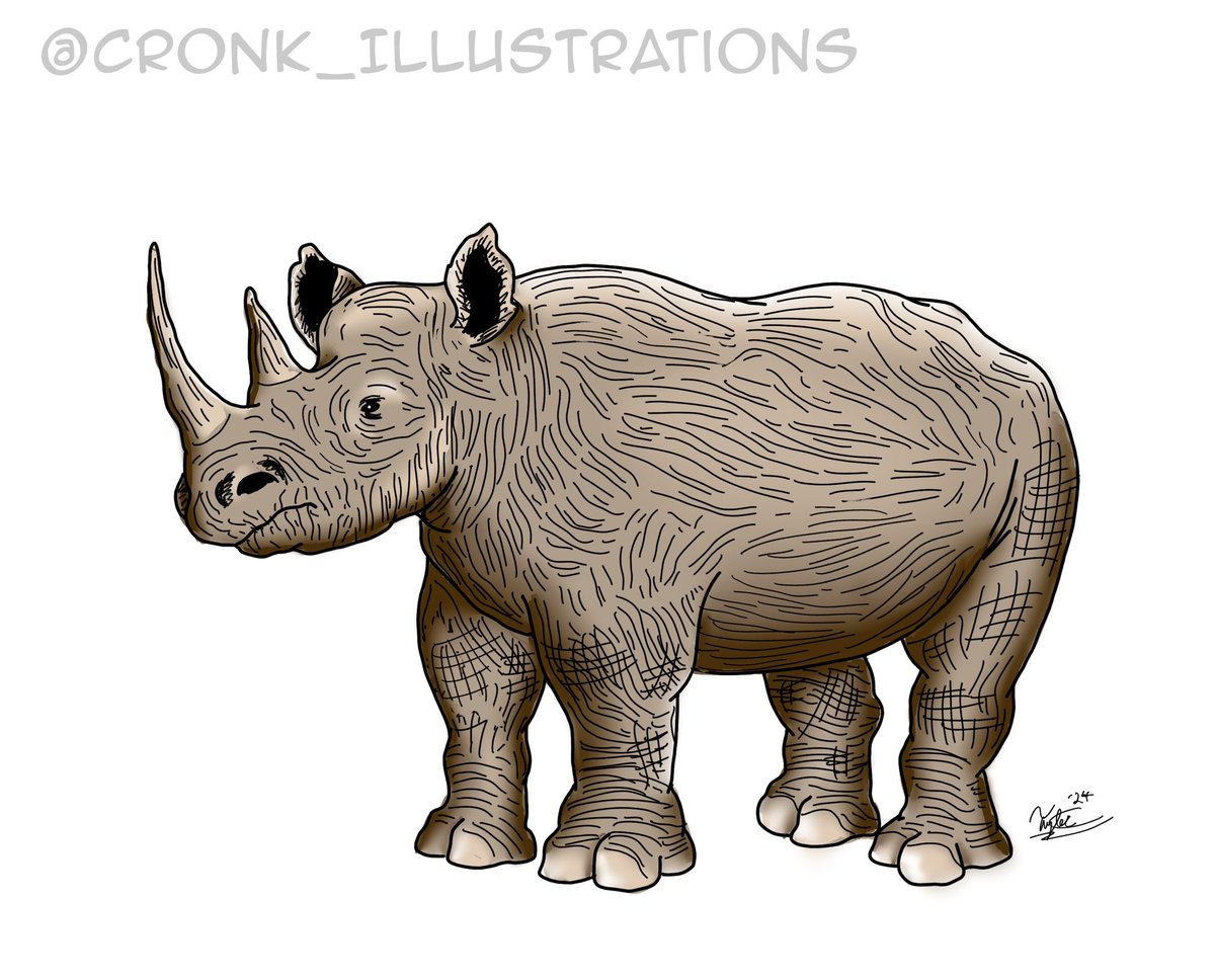 Cronkillustrat1's tweet photo. Inktober 2024 Day 21: Rhinoceros 🦏✍🏻 
Protect the Rhinos!!! 
•
•
#inktober #inktoberrhinoceros #inktober2024 #ink #art #illustration #cronkillustrations #animals #rhinoceros #rhinocerotoidea https://t.co/f3pcNGX70l