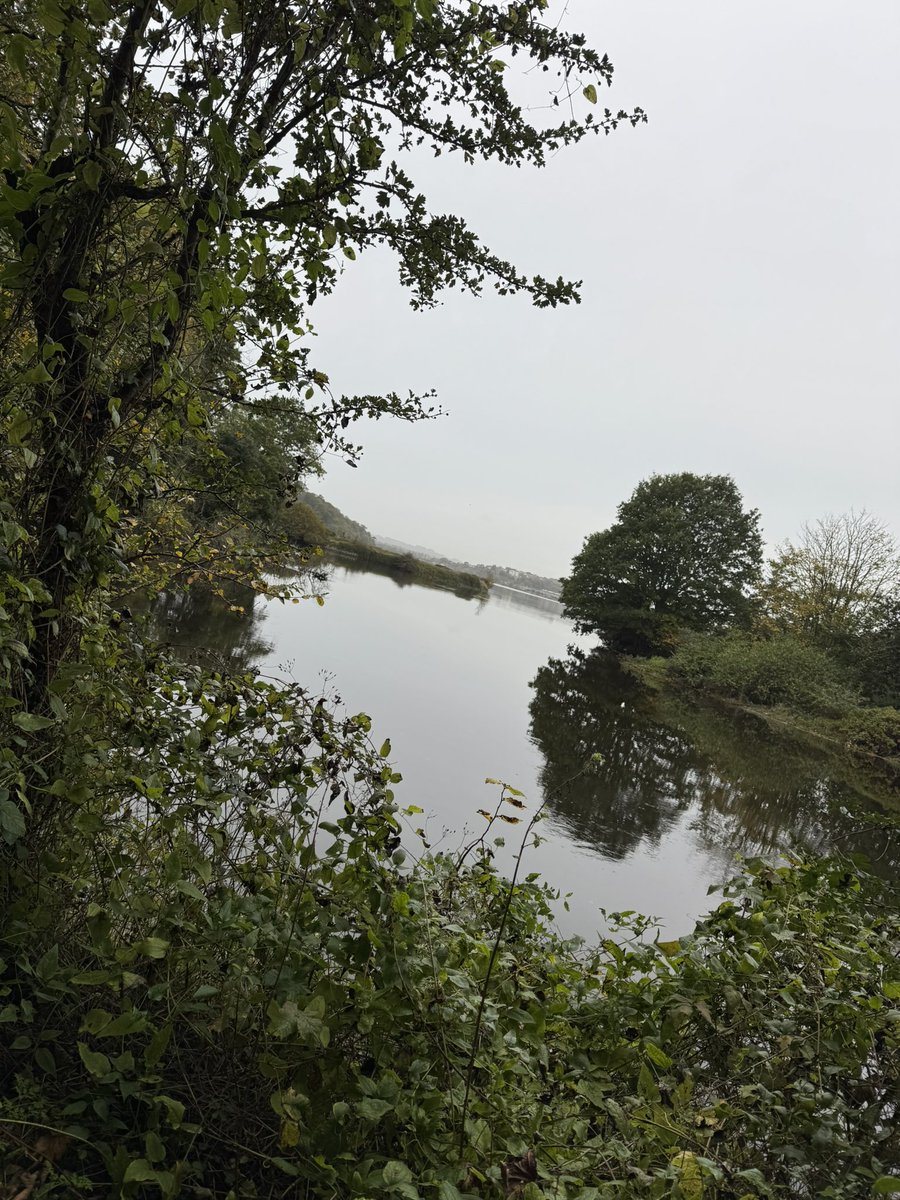 Making the most of my day off with a stunning walk, around Saltram, catching up with newly registered nurse @Kerry_PUNC21! #dayoff #friendship #walk #happy #celebration #countrypark <a href="/SaltramHouseNT/">Saltram House</a> #Monday #relax #mindful