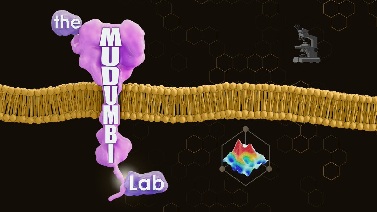 Check out our new lab logo and Illustration!

Thanks to my old college friend and talented medical illustrator Satyen Tripathi!

#NewPI