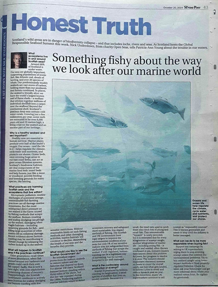 Open Seas tweet media