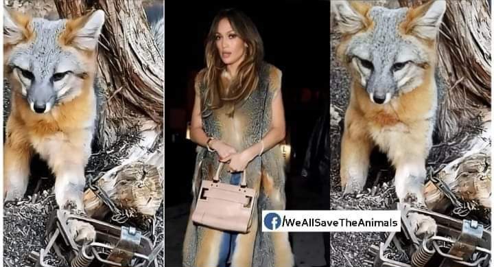 Tu portes la mort jennifer lopez 😡😡
(jamais de majuscule au nom sale).