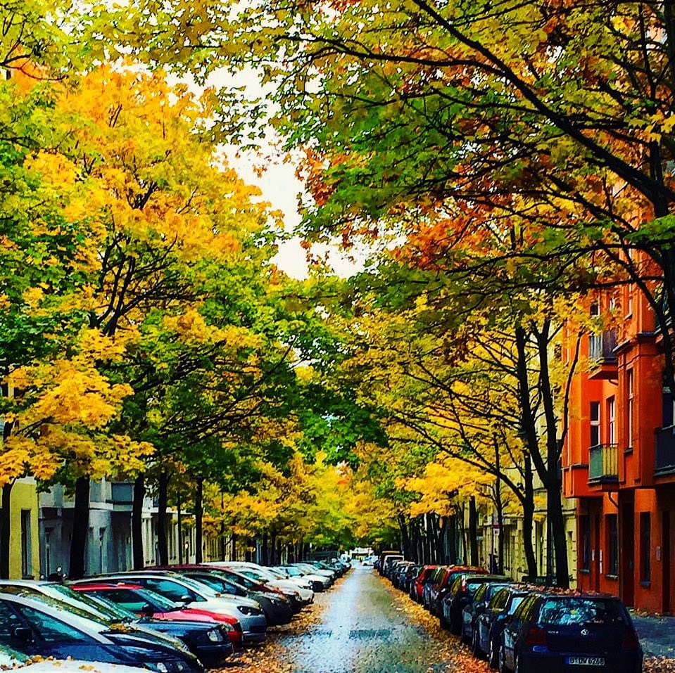 Slow Travel Berlin tweet media