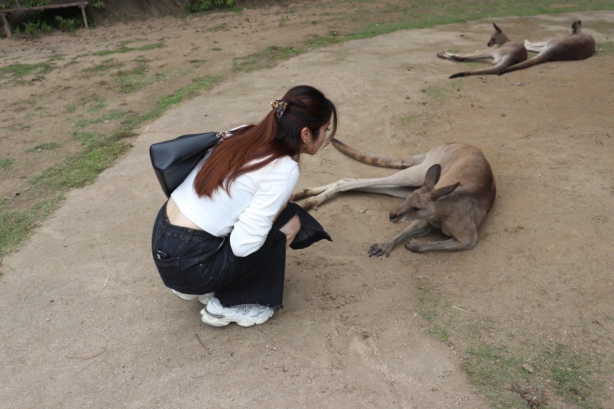 YukoHjk's tweet photo. たくさん写真撮ってくれる https://t.co/B0DW8Yyg6A