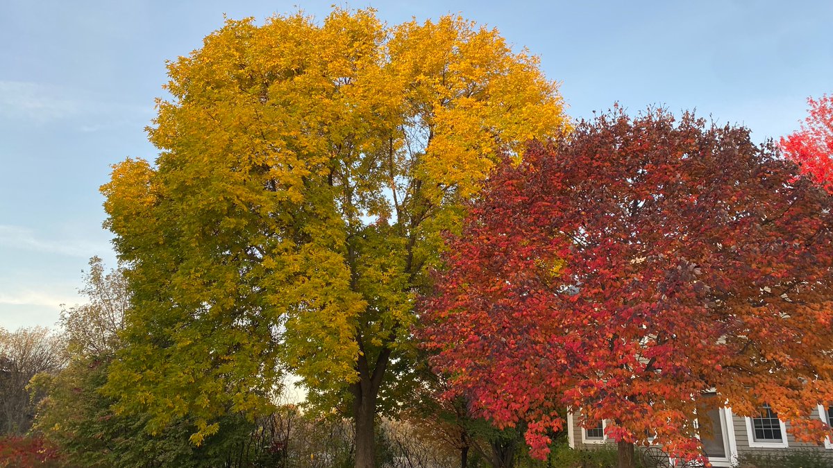 HullemanLab tweet media