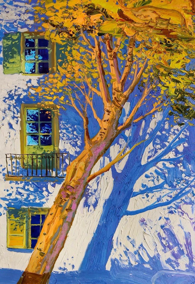 Eadeeva's tweet image. Las sombras que proyectan los árboles en las fachadas de Sergiu Ciochină