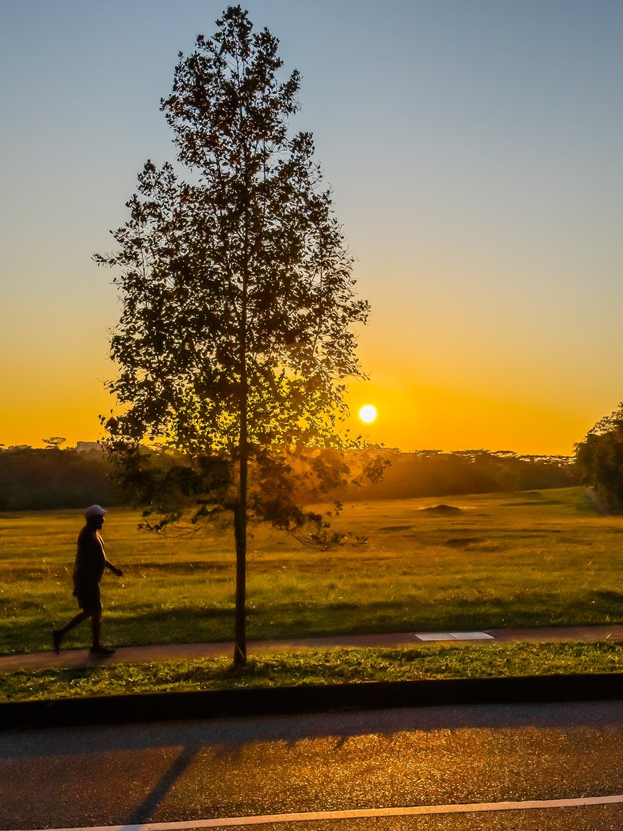 javanng's tweet photo. Sunset stride by at Old Holland Road today.
#strideby #sunsetvibes #oldhollandroad #singapore #cityvibes #goldenhour #seemycity https://t.co/LU0KQTFmEg