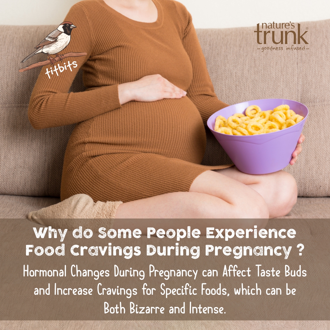 Natures_Trunk's tweet photo. 🐦𝐈𝐧𝐭𝐞𝐫𝐞𝐬𝐭𝐢𝐧𝐠 𝐓𝐢𝐭𝐛𝐢𝐭𝐬🐦

Why do some people experience food cravings during pregnancy? 

 #titbits #facts #FactsMatter #interested #KnowledgeIsPower #knowns #pregnancy #foodcravings #Science #didyouknow #Amazing #interestingfacts #funfacts #MotivationalQuote https://t.co/Sr9KmM6aJB