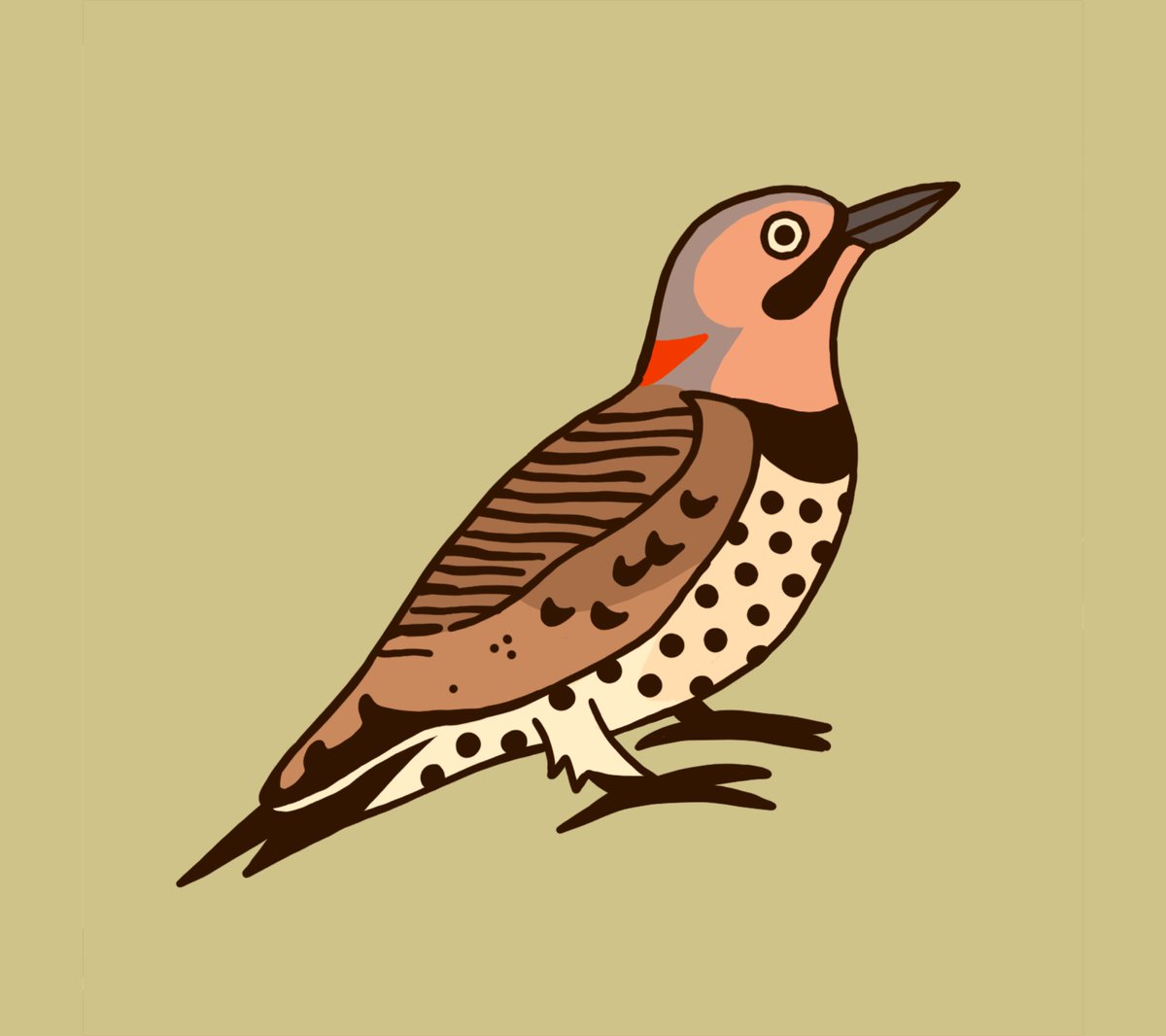 🪵🐜🧡 Northern Flicker 🧡🐜🪵