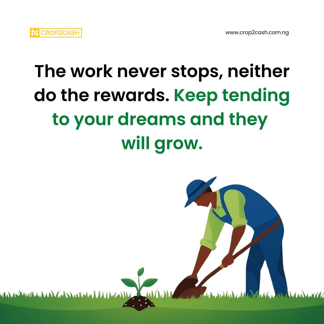 Hard work in farming never stops, and neither do the rewards! 
Keep nurturing your dreams, and they will flourish. 

With The National Hotline for Agriculture, farmers can get expert guidance 24/7 to overcome challenges and grow their dreams into reality. 

Call +234(0)8001235077