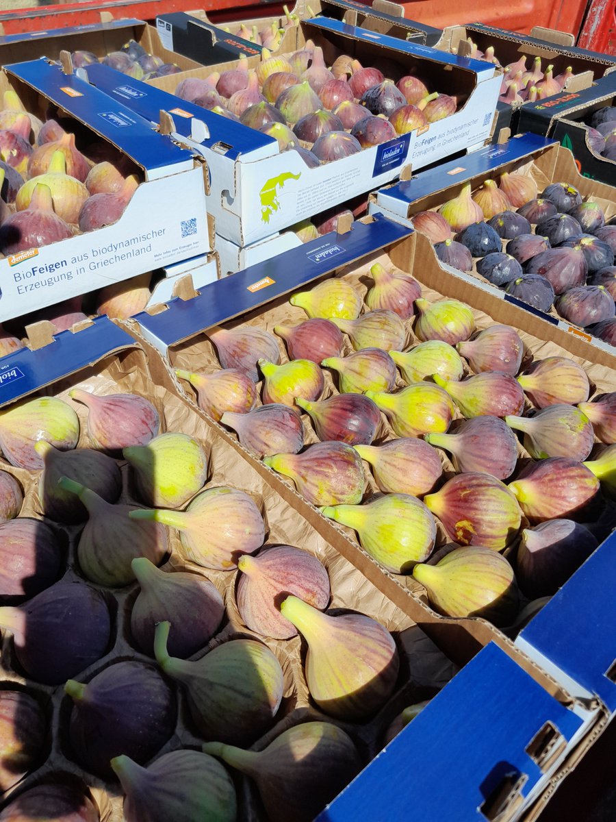 vasilis dimas (@dimasvasilis) on Twitter photo 