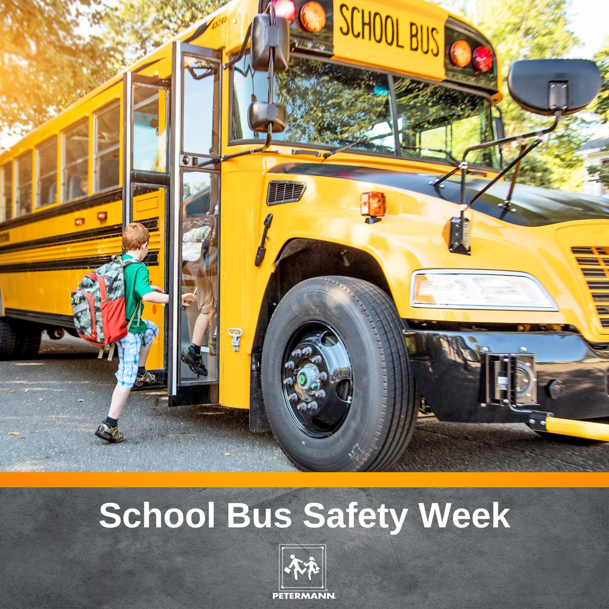 Petermann Bus tweet media