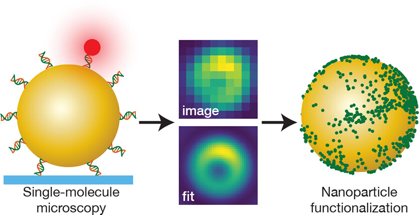 ACS Nano (@acsnano) on Twitter photo Unlocking the potential of nanoparticles in biosensing and drug delivery! This method enables super-resolution microscopy of nanoparticles revealing their detailed surface functionalization. #Nanotech <a href="/DTU_HealthTech/">DTU Health Tech</a> <a href="/TUeindhoven/">TU Eindhoven</a>
Read it here 🔗 go.acs.org/bkt Unlocking the potential of nanoparticles in biosensing and drug delivery! This method enables super-resolution microscopy of nanoparticles revealing their detailed surface functionalization. #Nanotech <a href="/DTU_HealthTech/">DTU Health Tech</a> <a href="/TUeindhoven/">TU Eindhoven</a>
Read it here 🔗 go.acs.org/bkt