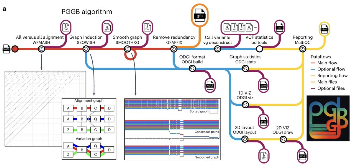 Nature Methods (@naturemethods) on Twitter photo PanGenome Graph Builder is a modular framework for efficiently building unbiased pangenome graphs, supporting diverse downstream analyses. <a href="/erikgarrison/">Erik Garrison</a> <a href="/AndresGuarahino/">Andrea Guarracino</a>
nature.com/articles/s4159… PanGenome Graph Builder is a modular framework for efficiently building unbiased pangenome graphs, supporting diverse downstream analyses. <a href="/erikgarrison/">Erik Garrison</a> <a href="/AndresGuarahino/">Andrea Guarracino</a>
nature.com/articles/s4159…