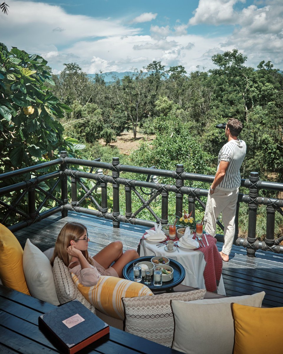 FSThailand's tweet image. Your wake-up call comes with this view! Start the day with a dose of tranquility - a delectable breakfast spread and mesmerizing jungle sounds @fstentedcamp. #wakeupwithfs through the link in the bio. #glamping #2024travel  @juliandoleg