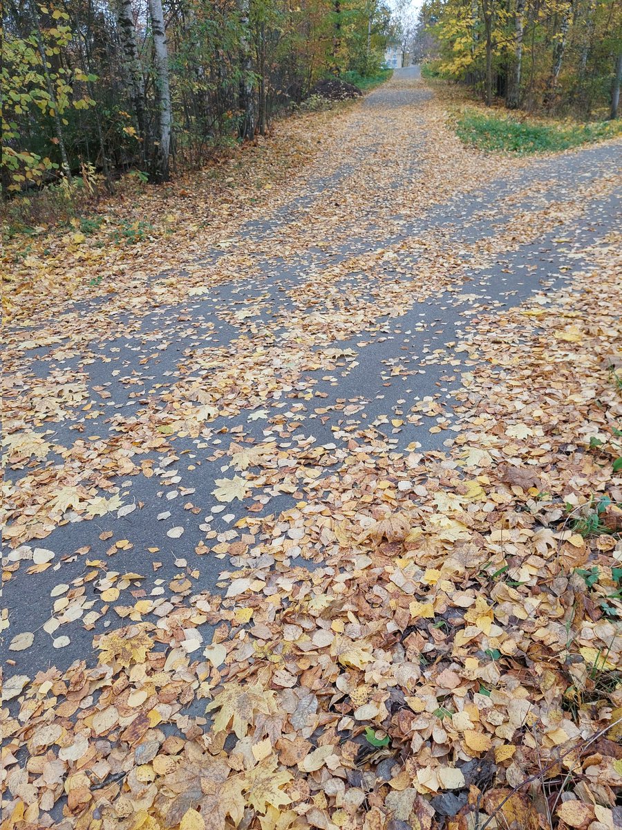 Piam68377597's tweet image. Lehtikelit parhaimmillaan 🍂🍂🍂🍂🍂🍂🍂🍂🍂🍂🍂🍂🍂 #autumn #October21st