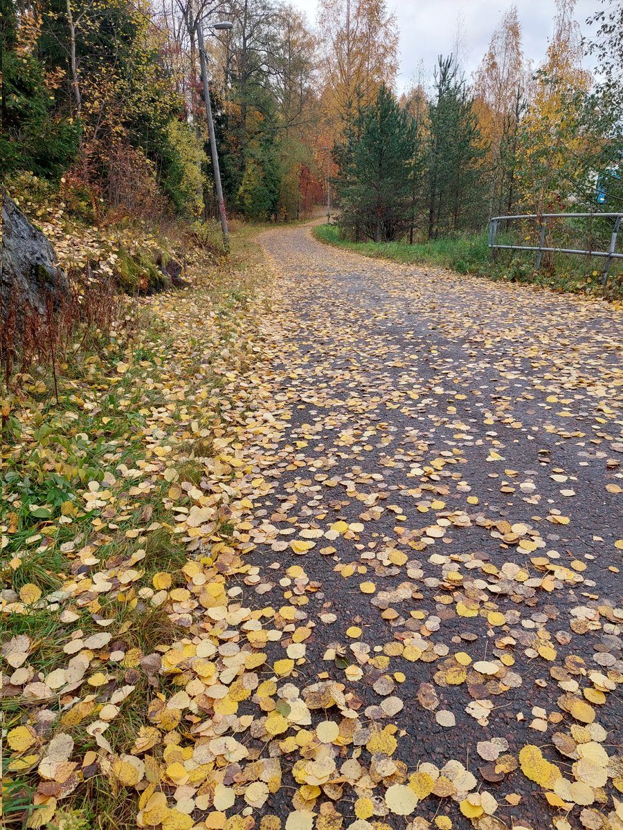 Piam68377597's tweet image. Lehtikelit parhaimmillaan 🍂🍂🍂🍂🍂🍂🍂🍂🍂🍂🍂🍂🍂 #autumn #October21st