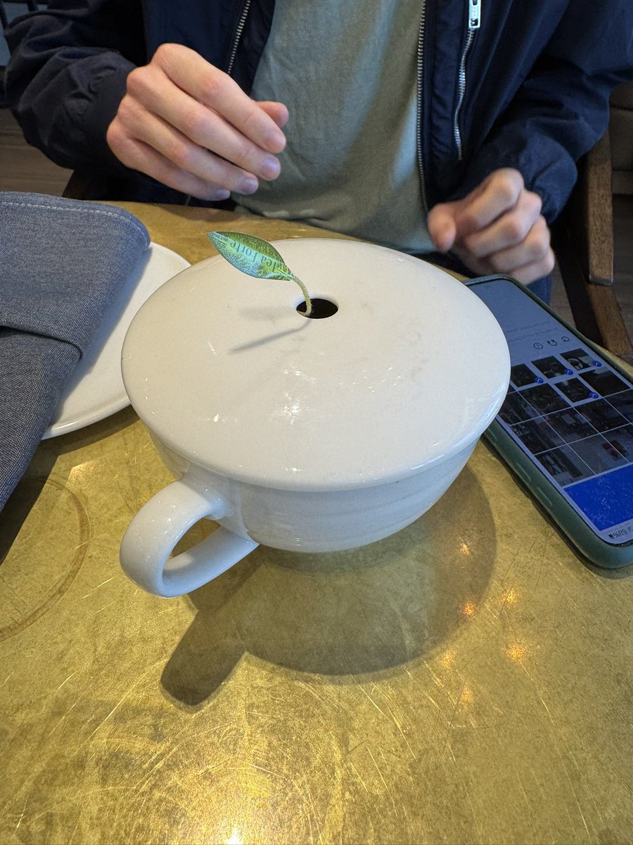 16bitbox's tweet photo. They’re torturing the Pikmin 😭 https://t.co/MPK2ZhrKJy