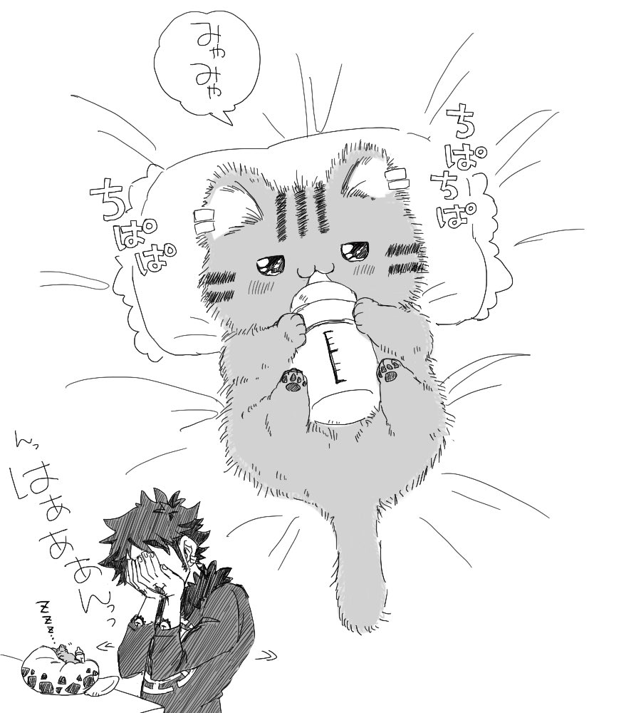 koyatawanko's tweet photo. 赤ちゃんの頃。 https://t.co/51aMLV6GIx