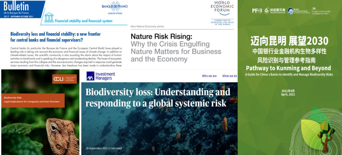 sleguilFR's tweet photo. La peur générée par le discours "catastrophiste" sur la biodiversité ferait "vendre". Mais au-delà des titres de journaux, la question des risques liée à son déclin est prise au sérieux partout dans le monde, même en Chine. On est quand même loin de l'"idéologie" des ONG là... https://t.co/htnDM5SxJi