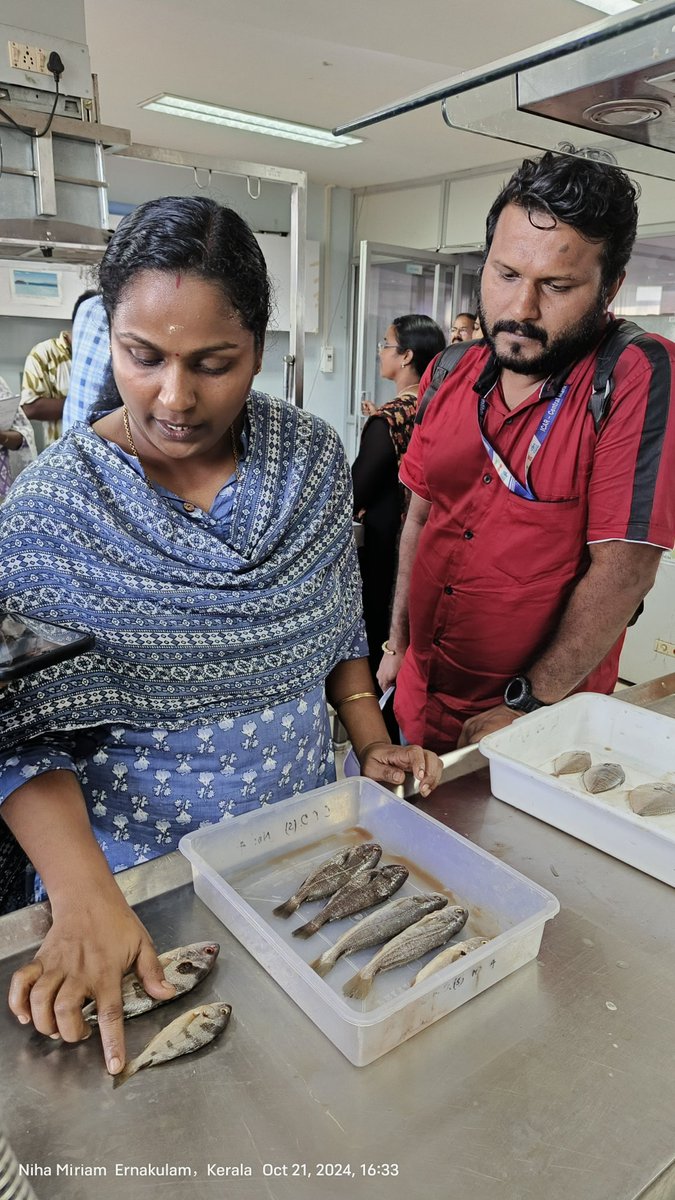 Anand02908794's tweet photo. The Refresher Course for FRAEED field staff of Kerala on Field Identification of Marine Fishery Resources has commenced 
Enhancing knowledge, sharpening skills, and fostering sustainable fisheries management
#MarineFisheries #FieldIdentification #FRAEED #MarineBiodiversity #ConservationEffort
 #SustainableSeafood
#EcosystemProtection
#CoastalManagement
 #KeralaFisheries