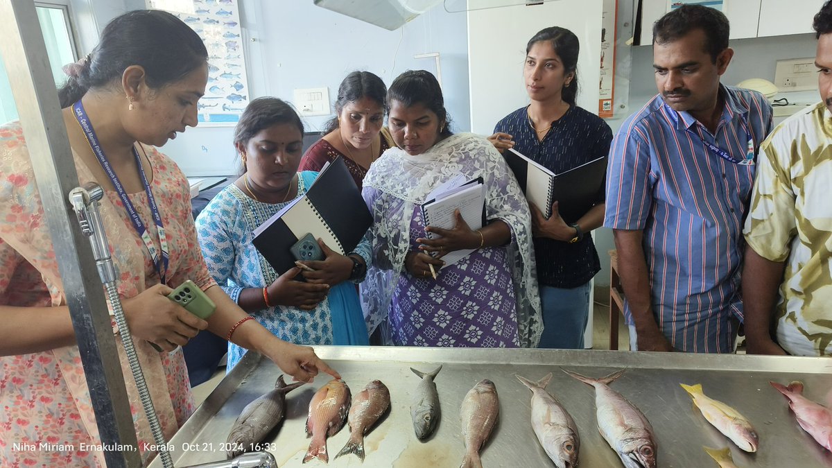 Anand02908794's tweet photo. The Refresher Course for FRAEED field staff of Kerala on Field Identification of Marine Fishery Resources has commenced 
Enhancing knowledge, sharpening skills, and fostering sustainable fisheries management
#MarineFisheries #FieldIdentification #FRAEED #MarineBiodiversity #ConservationEffort
 #SustainableSeafood
#EcosystemProtection
#CoastalManagement
 #KeralaFisheries