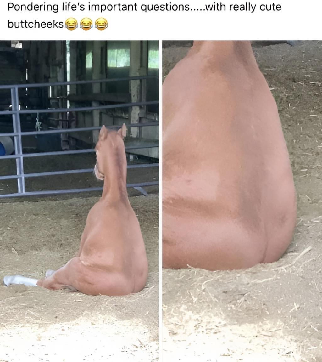 KING TAY is on an ENNIE NOMINATED PODCAST ⚠️ tweet media