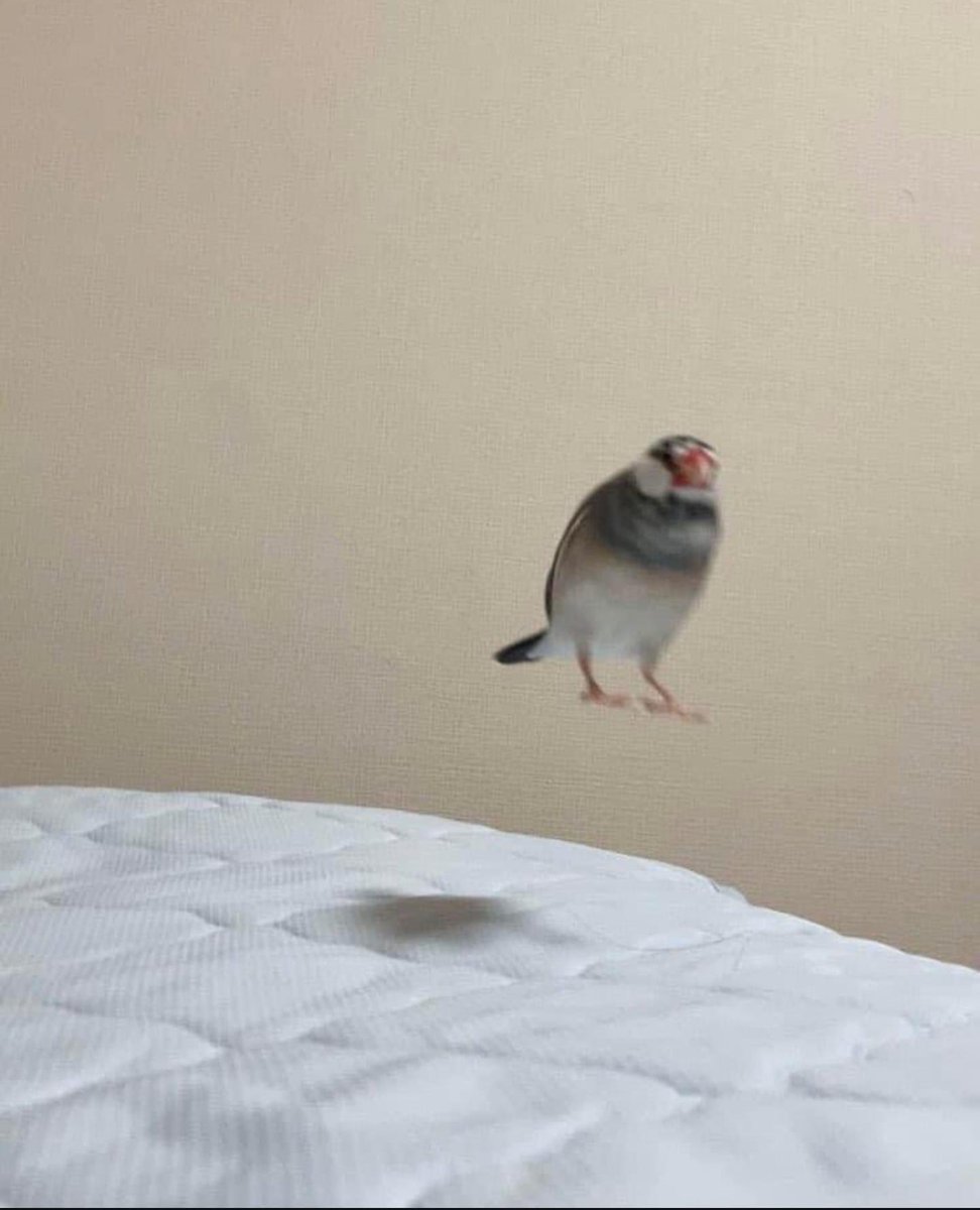 KING TAY is on an ENNIE NOMINATED PODCAST ⚠️ tweet media